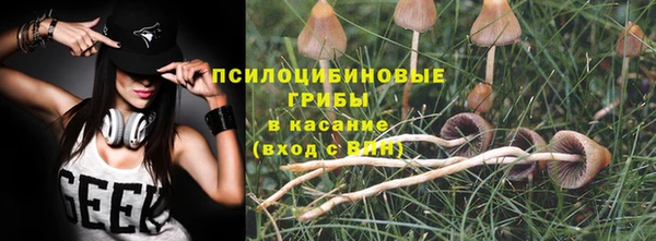 дмт Сосновка